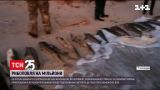 Браконьеры выловили более четырехсот килограммов "краснокнижной" рыбы | Новости Украины