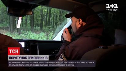 Новости Украины: пять грибников заблудились в лесу в 10 километрах от своего авто