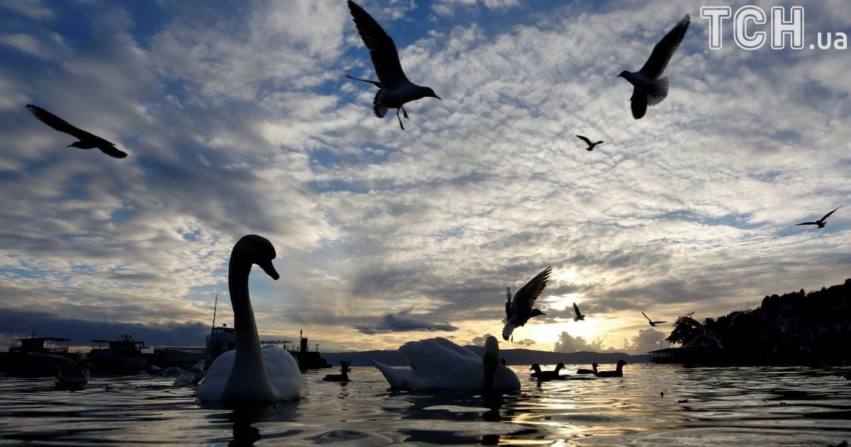 Перепад температуры в 27 градусов. Середина марта будет с теплом и морозами