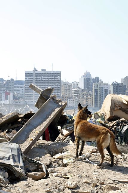 Взрыв в Бейруте образовал кратер и разрушил здания: фото города до и после бедствия