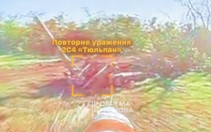 Третя штурмова бригада знищила топову ціль РФ на Харківщині (відео)