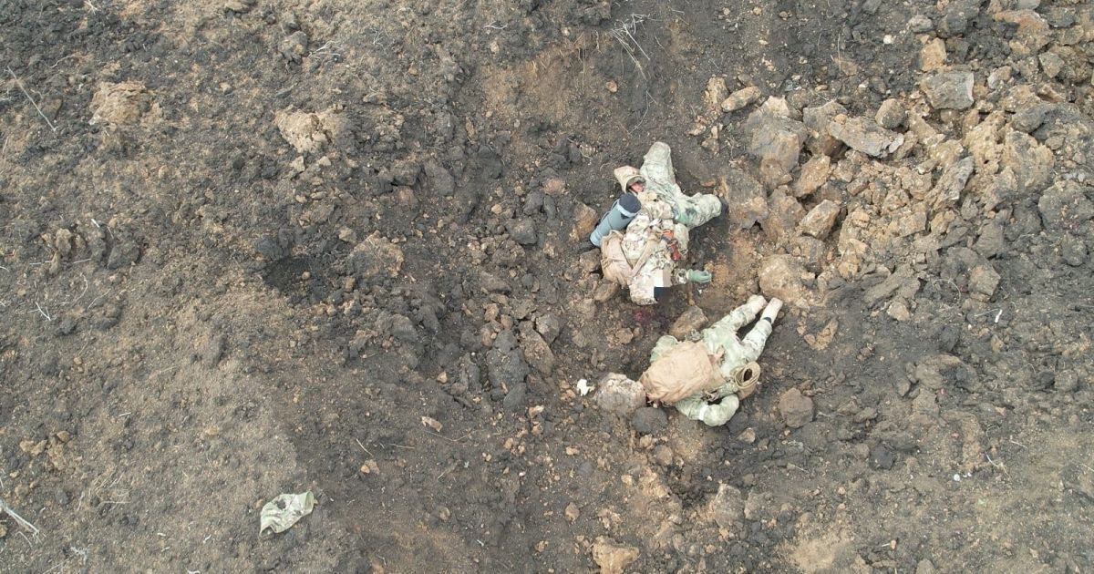 Фото: 24 ОМБр імені короля Данила.