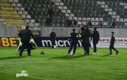 Забавная дикая утка приземлилась на футбольное поле, остановив матч чемпионата Болгарии