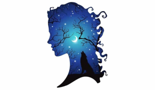 Тест Фото: Abmeyerwood