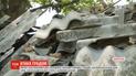 Селяни на Вінниччині просять допомоги у президента на ліквідацію наслідків потужного граду