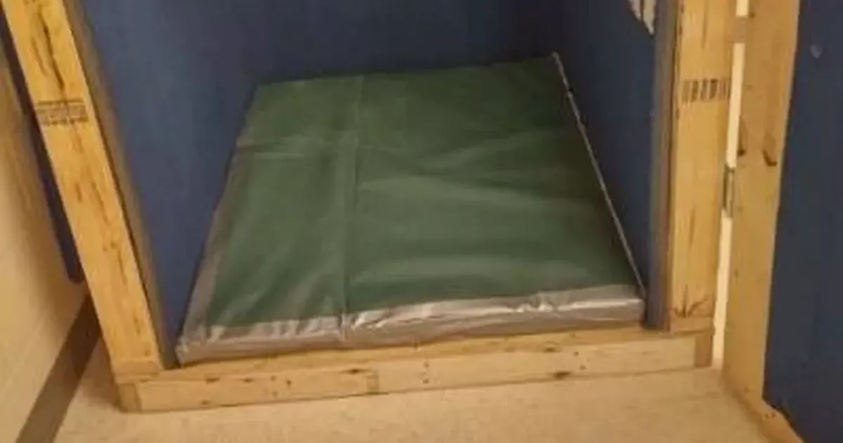 Дерев’яна клітка у школі, в якій утримували хлопчика за аутизмом