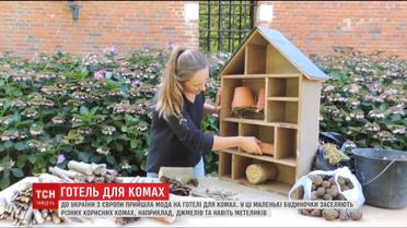 До України з Європи прийшла мода на готелі для комах