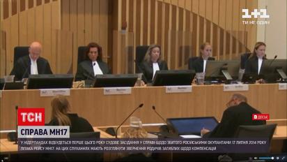 У Нідерландах поновлять судові слухання у справі збитого над Донбасом Боїнга МН-17