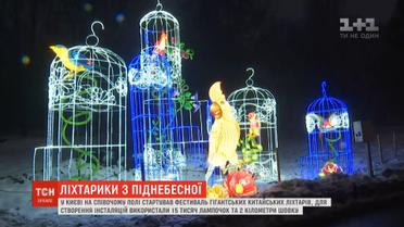 Величезні фламінго, жаби та папуги: на Співочому полі засвітили гігантські китайські ліхтарі