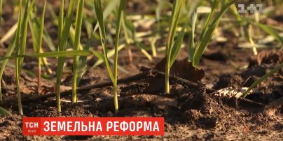 В парламенте назвали условия для референдума о продаже земли иностранцам