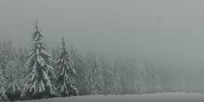 Карпати засипало снігом: висота покрову подекуди сягає 25 сантиметрів