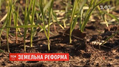 В парламенте назвали условия для референдума о продаже земли иностранцам