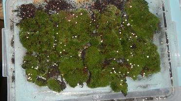 Нічний клуб із наркотою_03 / © Национальная полиция Украины