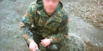 Под Киевом житель Бучи застрелил бездомную собаку