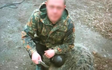 Под Киевом житель Бучи застрелил бездомную собаку