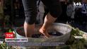 Новости Украины: в Черновцах на пешеходной улице все желающие давили ногами виноград