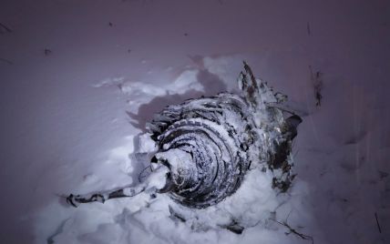 Яма глибиною півтора метра і дрібні фрагменти фюзеляжу в радіусі кілометра: як виглядає місце катастрофи Ан-148 в Підмосков'ї