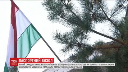 Выдача паспортов Венгрии гражданам Украины привела к новому скандалу между странами
