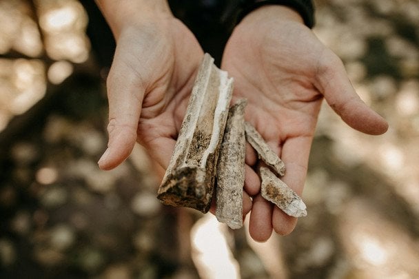 18 жовтня в Україні і світі святкують Міжнародний день археології / © unsplash.com