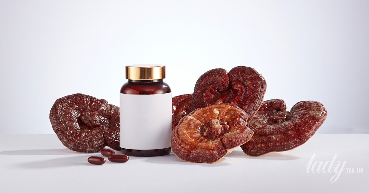 Гриб, который меняет правила игры