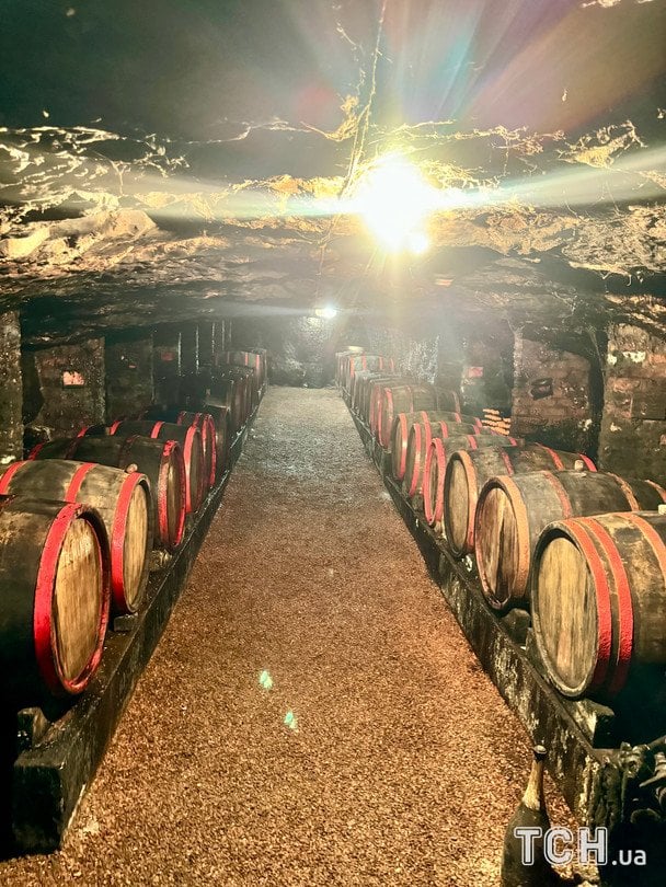  / © Аліна Онопа, ТСН.ua