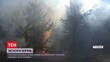 У Луганській області виникла нова масштабна лісова пожежа
