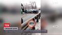 В Броварах произошла массовая авария из-за гололеда, есть травмированные