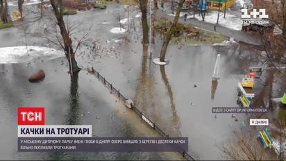 Качки на тротуарах: у Дніпрі озеро в міському дитячому парку вийшло з берегів
