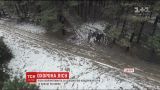 Квадрокоптери та кінний патруль: на Дніпропетровщині ліс взяли під подвійну охорону