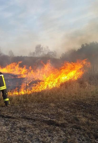 В большинстве областей Украины чрезвычайный уровень пожарной опасности
