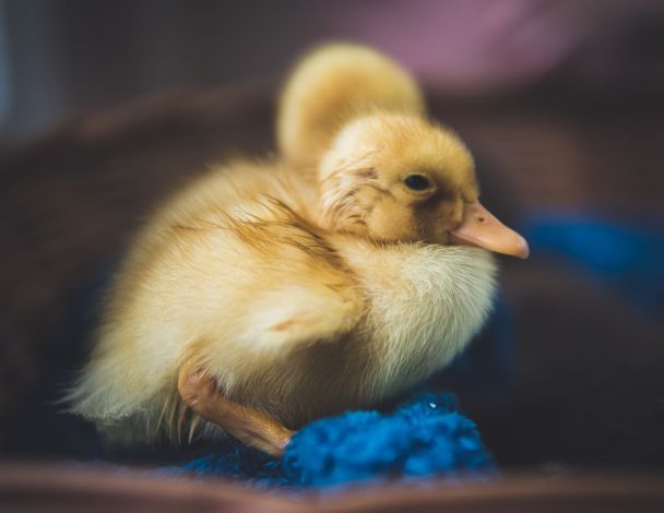 Народные приметы 21 марта / © Pexels