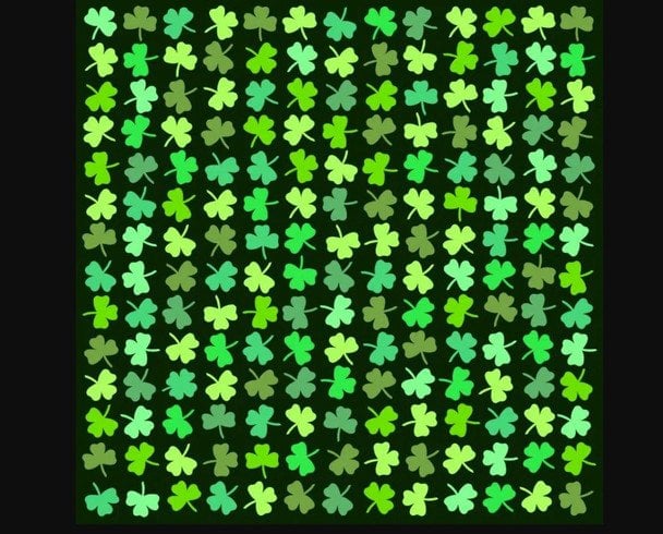 Оптична ілюзія: шукаємо незвичайну конюшину