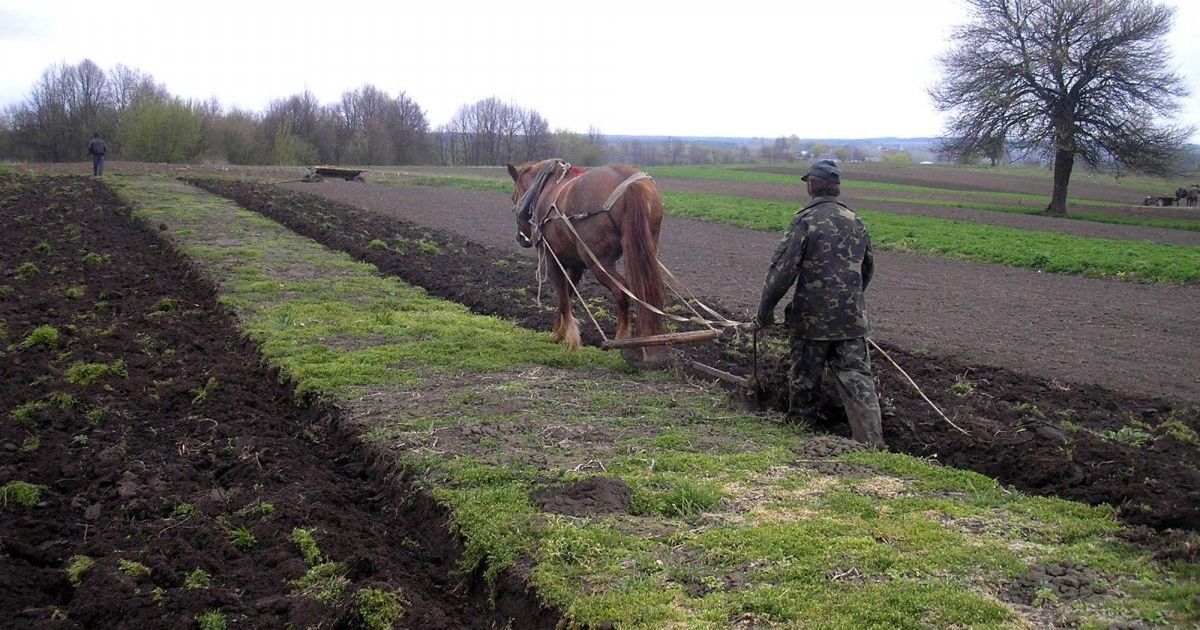 В Україні запровадять нове професійне свято