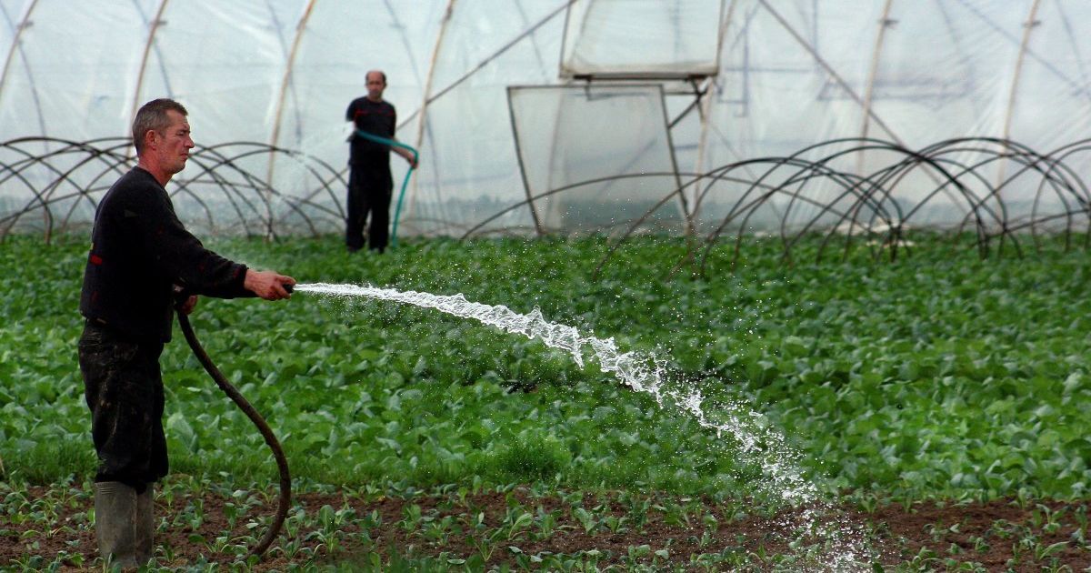 Более трех миллионов украинцев работают неофициально: в каких областях больше всего сотрудников без трудовых