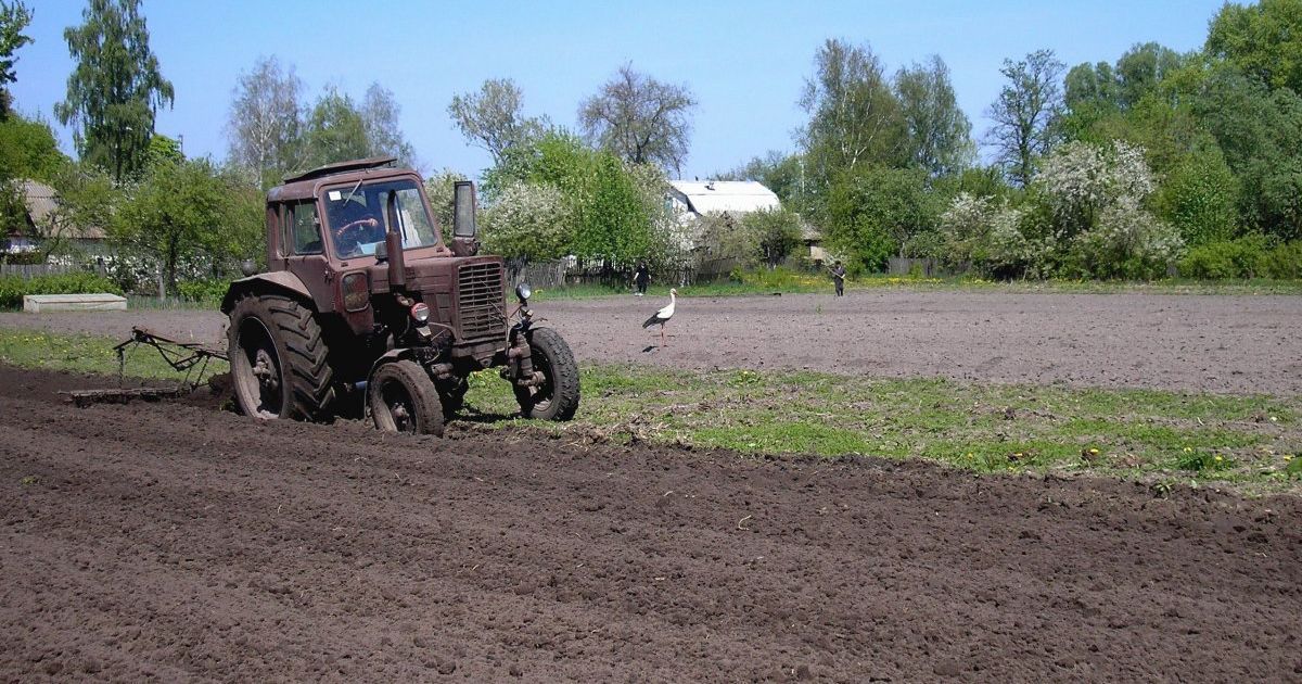 Фермерам обіцяють компенсацію за втрату врожаю: уряд ухвалив рішення
