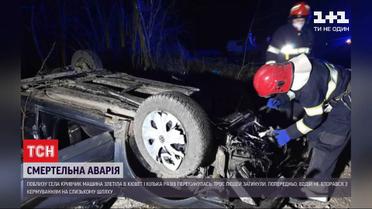 Вблизи Хмельницкого "Фольксваген" вылетел в кювет - водитель и две пассажирки погибли