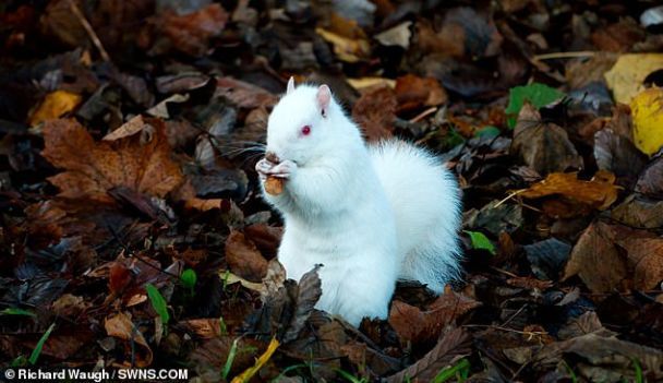 Фото: Richard Waugh