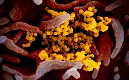 Наявність в організмі антитіл не свідчить про імунітет до коронавірусу - ВООЗ