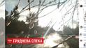 Декабрьская жара: синоптики обещают в Украине почти рекордное потепление