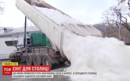 В Киев на грузовиках привезли карпатский снег