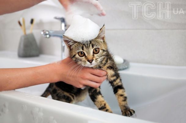  / © Credits