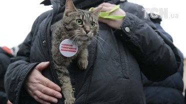 "Забастовка избирателей" в Петербурге / © Reuters