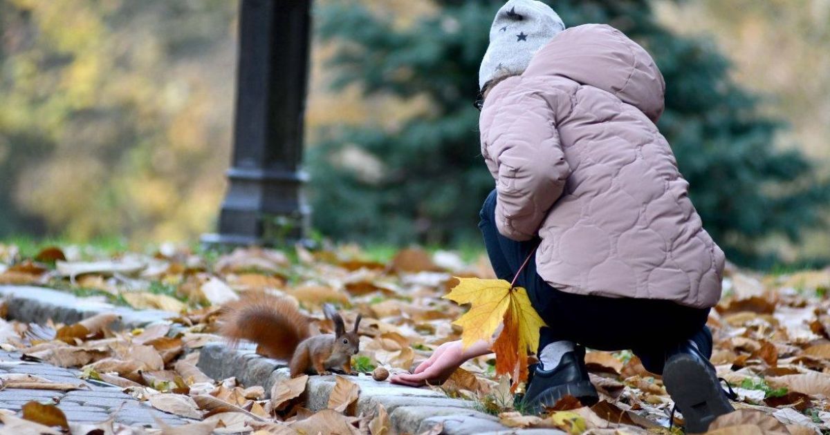 Дощі на сході та до +16° на півдні і заході: прогноз погоди в Україні на п'ятницю, 4 листопада