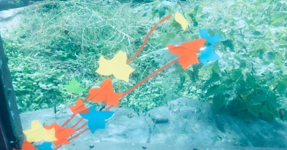 В Києві у зоопарку тріснуте скло у вольєрі з ведмедями заклеїли аплікацією