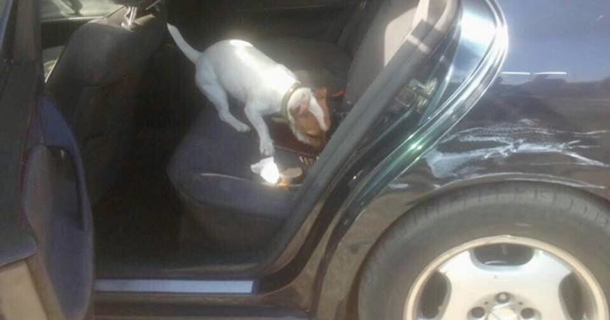 На Одещині поліція проводить масштабну спецоперацію _8 / © facebook.com/Вячеслав Аброськін