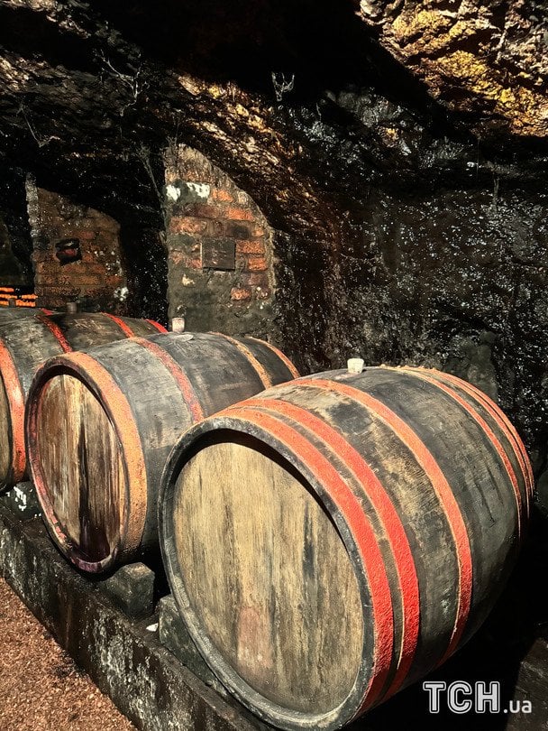  / © Аліна Онопа, ТСН.ua