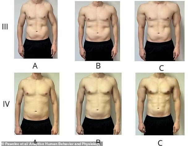 Жінок також попросили оцінити відмінності у формі тіла (верхній рядок) та кількості м’язів (нижній рядок)