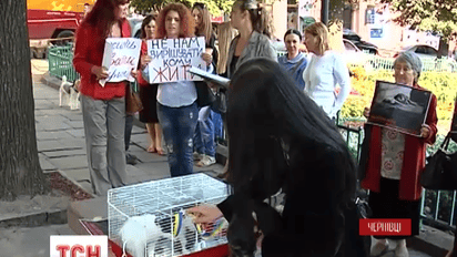 В Черновцах активисты устроили животный протест