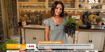 Как правильно собирать и заготавливать на зиму базилик