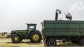 ЄС готується суттєво обмежити безмитний експорт з України